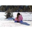 Slippery Racer Heavy-Duty Cold Weather Downhill Pro Adults and Kids Plastic Outdoor Winter Saucer Disc Snow Sleds with Handles.