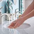 Moen Lindor Transitional Spot Resist Brushed Nickel Single Hole 1-handle WaterSense High-arc Bathroom Sink Faucet with Drain and Deck Plate