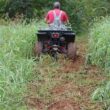 GroundHog Max 21-in Square 2-in receiver Carbon Steel Disc Harrows