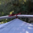 Klymit Cross Canyon Polyester 2-Person Tent