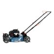 SENIX 125-cc 21-in Gas Push Lawn Mower with Briggs and Stratton Engine