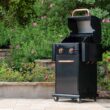 Permasteel Black with Copper Accent 2-Burner Liquid Propane Gas Grill
