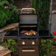 Permasteel Black with Copper Accent 2-Burner Liquid Propane Gas Grill