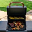 Permasteel Black with Copper Accent 2-Burner Liquid Propane Gas Grill