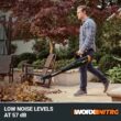 WORX NITRO POWER SHARE 40-volt Cordless Battery String Trimmer and Leaf Blower Combo Kit (Battery & Charger Included)