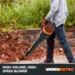 WORX NITRO POWER SHARE 40-volt Cordless Battery String Trimmer and Leaf Blower Combo Kit (Battery & Charger Included)