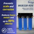 ISPRING WGB32B-KDS Whole House Water Filter System w/Polyphosphate Anti-Scale, GAC+KDF, and Carbon Block Filters, Descaler and Filter