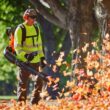 ECHO eFORCE 56V 195 MPH 795 CFM Cordless Battery Backpack Blower w/Tube Throttle & (2) 5.0Ah Batteries & Dual Port Charger ECHO eFORCE 56V 195 MPH 795 CFM Cordless Battery Backpack Blower w/Tube Throttle & (2) 5.0Ah Batteries & Dual Port Charger