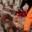 ECHO CS-620P-20 20 in. 59.8 cc Gas 2-Stroke X Series Rear Handle Chainsaw