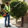 ECHO HCA-2620 21 in. 25.4 cc Gas 2-Stroke X Series Hedge Trimmer