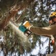 Makita XCU09PT LXT 16 in. 18V X2 (36V) Lithium-Ion Brushless Battery Top Handle Chain Saw Kit (5.0Ah)