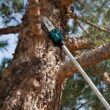 Makita GAU02Z XGT 40V max Brushless Cordless 10 in. Telescoping Pole Saw, 13 ft. Length (Tool Only)