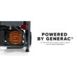Powermate P0080201 PM4500 3600-Watt Manual Start Gas-Powered Portable Generator with CO-Sense, 49-ST/CSA