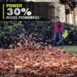 RYOBI 40V HP Brushless Whisper Series 155 MPH 600 CFM Cordless Battery Leaf Blower with (2) 4.0 Ah Batteries and Charger