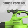 Greenworks 40V Cordless Brushless Leaf Blower / Vacuum, 5.0Ah Battery and Charger Included