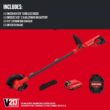 Craftsman 20V MAX Edger Lawn Tool, Cordless Lawn Edger with Battery & Charger Included (CMCED400D1)