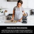 Ninja BN801: Powerful Kitchen System for Smoothies, Dough & More (Grey)