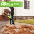 Greenworks 40V Cordless Brushless Leaf Blower / Vacuum, 5.0Ah Battery and Charger Included