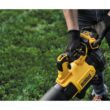 DEWALT 20V Max XR Leaf Blower, 125-MPH, 450-CFM (DCBL722P1)