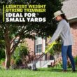 RYOBI PCLST01K ONE+ 18V 10 in. Cordless Battery String Trimmer/Edger with 2.0 Ah Battery and Charger