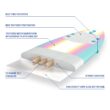 Wavestorm - Classic Soft Top Foam 8ft Surfboard - burst Wavestorm - Classic Soft Top Foam 8ft Surfboard - burst
