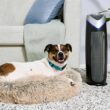 GermGuardian AC4825E Air Purifier with HEPA Filter & UV-C Light, 22”, Gray