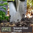 Root Assassin RA-001-21 32 in. Polypropylene D-Handle 48 in. Serrated Root Cutting Steel Garden Shovel