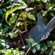 Radius Garden 22311-21 31 in. Fiberglass Handle 40 in. Root Slayer Carbon Steel Nomad Shovel
