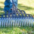 Razor-Back 2000RB 20-Tine Multi-Purpose Lawn Rake Razor-Back 2000RB 20-Tine Multi-Purpose Lawn Rake