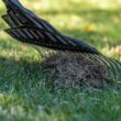 Razor-Back 2000RB 20-Tine Multi-Purpose Lawn Rake Razor-Back 2000RB 20-Tine Multi-Purpose Lawn Rake