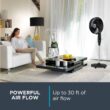 Rowenta VU4510 Pedestal Fan, Extreme Outdoor Fan with Remote, 65 Inches