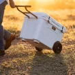 YETI Tundra Haul Cooler - White