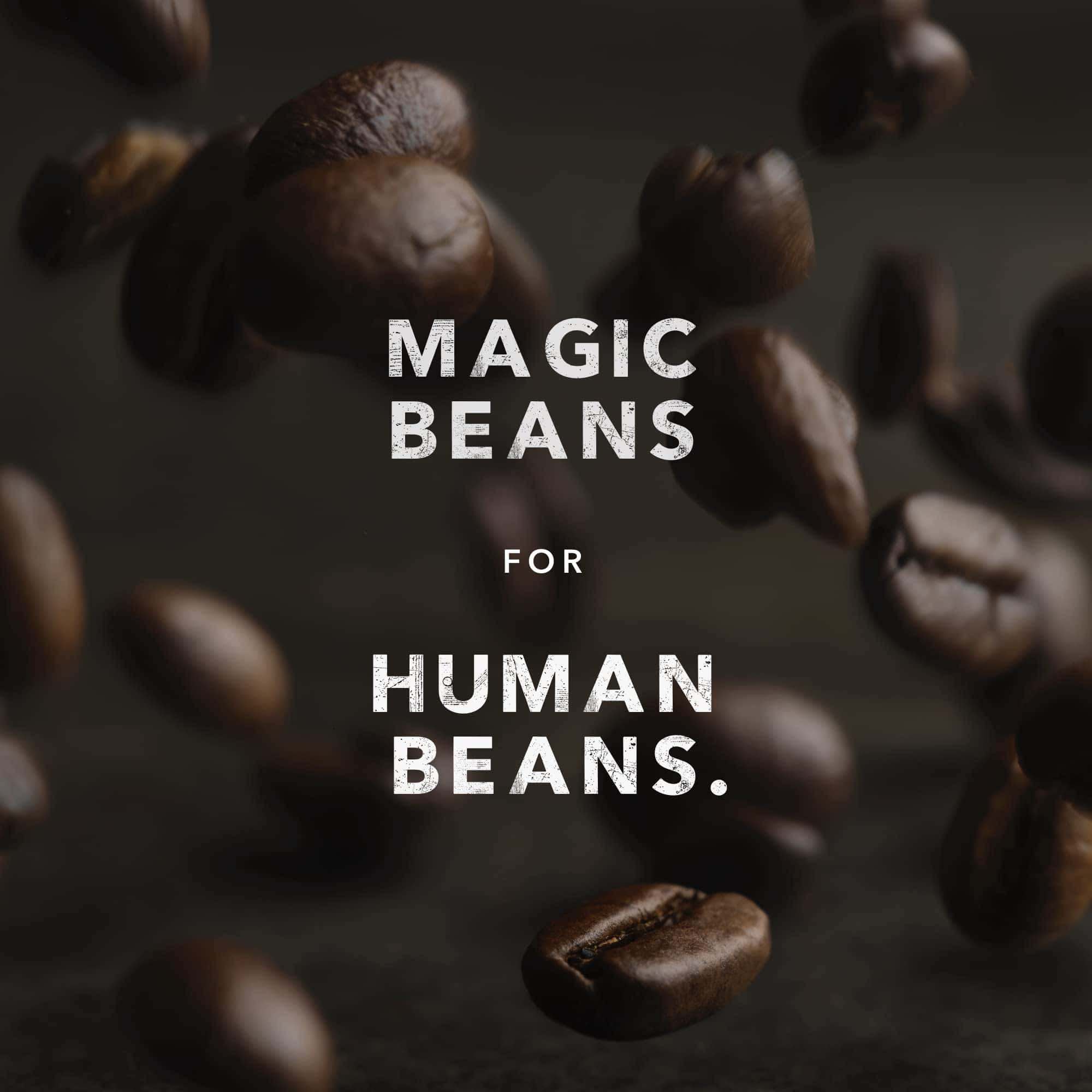 Kicking Horse Coffee, Grizzly Claw, Dark Roast, Whole Bean, 2.2 Pound - Certified Organic, Fairtrade, Kosher Coffee Kicking Horse Coffee, Grizzly Claw, Dark Roast, Whole Bean, 2.2 Pound - Certified Organic, Fairtrade, Kosher Coffee - Image 6