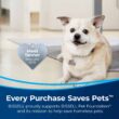 BISSELL Pet Stain Eraser Plus, 3181,Black/Blue