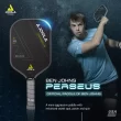 JOOLA Ben Johns Perseus CFS 14mm Pickleball Paddle