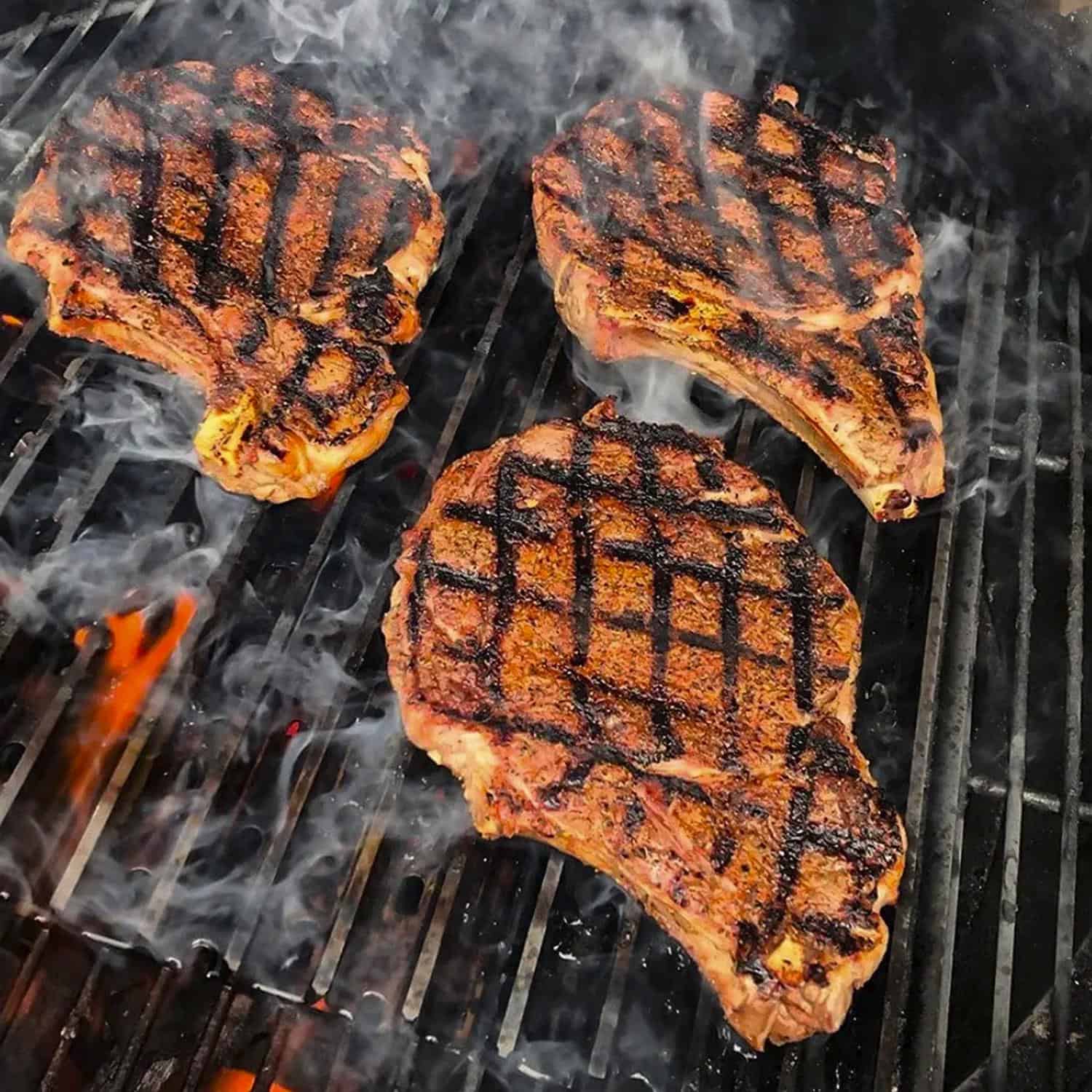 GrillGrate For Traeger Pro Series Sear Station Grill Grate Kit 18.5 in. L X 15.38 in. W GrillGrate For Traeger Pro Series Sear Station Grill Grate Kit 18.5 in. L X 15.38 in. W - Image 4