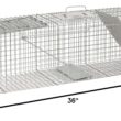 Havahart 1045SR Large 2-Door Humane Catch and Release Live Animal Trap