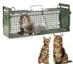 Timaze 40" 2-Door Large Live Animal Traps for Stray Cats up to 17.6 pounds