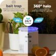 Katchy Duo Indoor Insect Trap with Scent Pod - Fan Powered with UV Light - Fruit Fly Traps for Indoors (White)