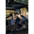 Vortex Triumph HD 10x42 Binoculars
