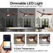 reiga 52 Inch ETL Listed High CFM Quiet DC Motor Smart Ceiling Fans with Lights Remote Control