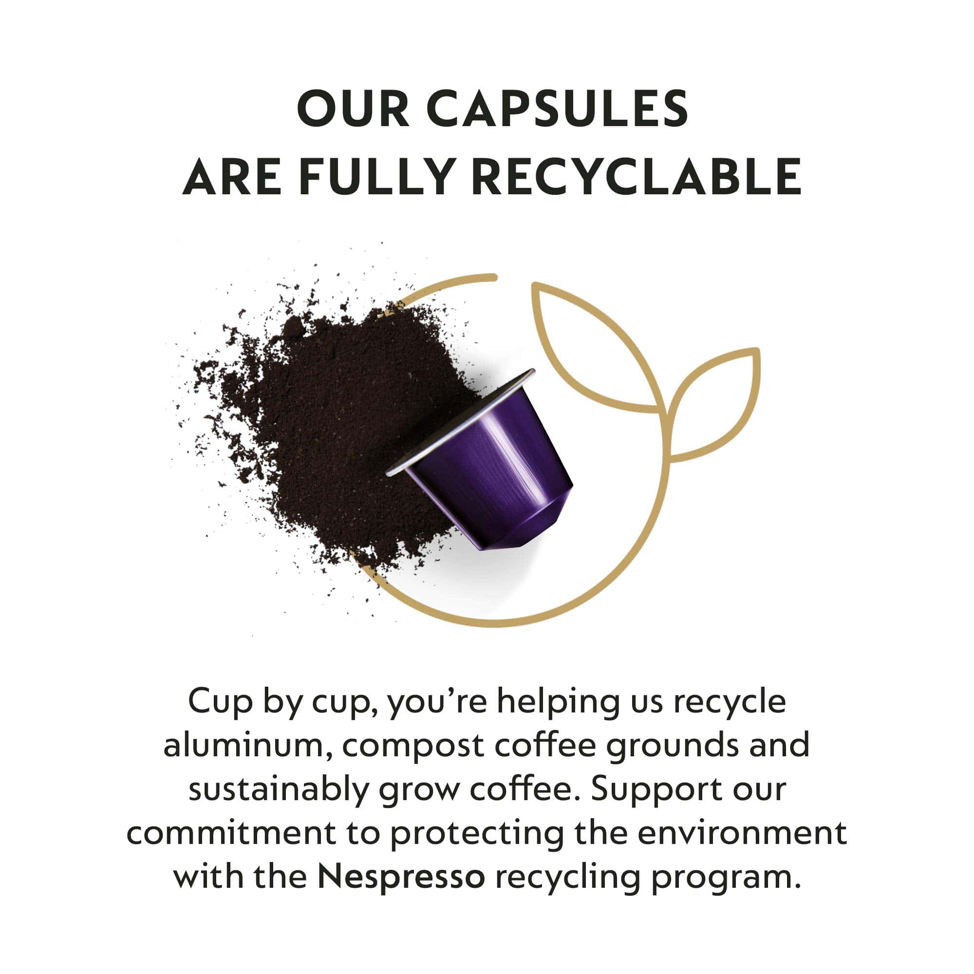 Nespresso Capsules OriginalLine, Arpeggio Decaffeinato, Dark Roast Espresso Coffee, 50-Count Espresso Coffee Pods Nespresso Capsules OriginalLine, Arpeggio Decaffeinato, Dark Roast Espresso Coffee, 50-Count Espresso Coffee Pods - Image 5