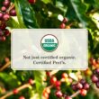 Peet's Coffee, Dark Roast K-Cup Pods for Keurig Brewers - Organic Alma de la Tierra, USDA Organic 60 Count (6 Boxes of 10 K-Cup Pods)