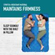 Sierra Designs Queen Campaign Air Mattress - Air Bed for Car Camping and Travel