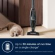 Electrolux WellQ7 Pet Stick Cleaner Lightweight Cordless Vacuum with LED Nozzle Lights