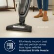 Electrolux WellQ7 Pet Stick Cleaner Lightweight Cordless Vacuum with LED Nozzle Lights