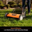 LawnMaster LMRM1801 Push Reel Lawn Mower 18-Inch 5-Blade