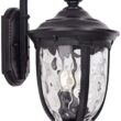 John Timberland Bellagio 20 1/2" High Black Downbridge Outdoor Wall Light