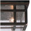 Kathy Ireland Sierra Craftsman 10 1/2" Wide Ceiling Light