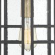 Possini Euro Arley 12 1/2" High Black Outdoor Hanging Light